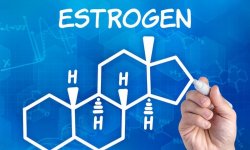 Что нужно знать об исследовании эстрогена в крови?