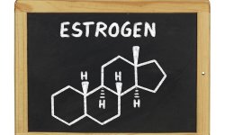 О гормоне эстроген на чистоту…